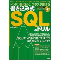 �������ݎ�SQL�̃h�����\�h���h���g�ɕt���A�X���X��������