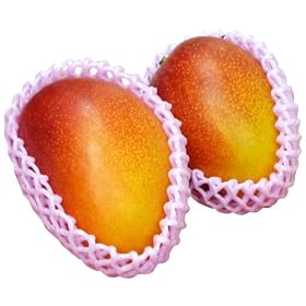 �y�󂠂�z�@�{�茧�Y�@�{�芮�n�}���S�[�@1�ʖ�400g�ȏ�@2�ʃZ�b�g