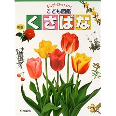 �ӂ����E�т�����!? ���ǂ��}�� �����΂�