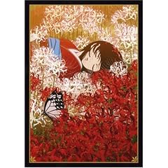 �n������ ���� ���m�� [DVD]