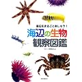 �C�ӂ̐����ώ@�}�Ӂ\�C�ӂ��܂邲�Ɗy������!