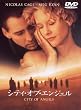 �V�e�B�E�I�u�E�G���W�F�� ���ʔ� [DVD]