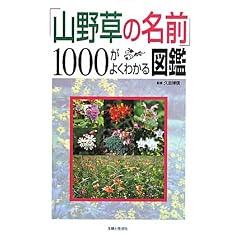 �u�R�쑐�̖��O�v1000���悭�킩��}��