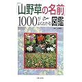 �u�R�쑐�̖��O�v1000���悭�킩��}��