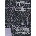 �J���[COLOR