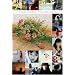 Life,/Music&Love [DVD]
