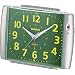 CASIO (�J�V�I) �ڊo�����v �A�i���O TQ-379-8JF