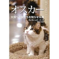 �I�X�J�[�\�V���ւ̗�������m�点��L