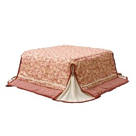 �ȃX�y�[�X �������|���z�c�P�i �w�w�����x ���[�Y 180�~220cm 5042319