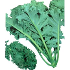 ���Ȃ��݂̐`!�@�`�P�[��(��ʎ�)�@����:4ml