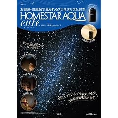 HOMESTAR AQUA cute BOOK (��MOOK)