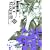 PEACE MAKER�c (3) (BLADE COMICS)
