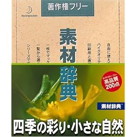 �f�ގ��T Vol.82 �l�G�̍ʂ�E�����Ȏ��R��
