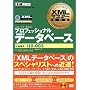 XML�}�X�^�[���ȏ� �v���t�F�b�V���i��(�f�[�^�x�[�X)