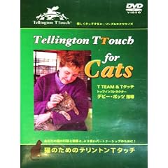�L�̂��߂̃e�����g��T�^�b�` [DVD]