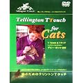 �L�̂��߂̃e�����g��T�^�b�` [DVD]
