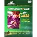 �L�̂��߂̃e�����g��T�^�b�` [DVD]