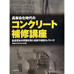 ������������̃R���N���[�g��C�u���\�Љ�{�̍r�p��h���_�����C�̃m�E�n�E