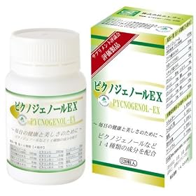 �G�����F �s�N�m�W�F�m�[��EX 120��