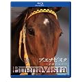 �u�G�i�r�X�^�@�s���̏��� [Blu-ray]
