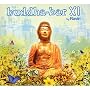 Buddha Bar Vol.11: Mixed By DJ Ravin