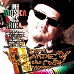 MI MUSICA ES RICA