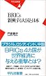 BRICs �V������卑�Ɠ��{ (���}�АV��)