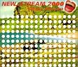 NS 2000