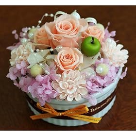 �y�v���U�[�u�h�t�����[�M�t�g�z���������@�͂�Ȃ����@�̂��Ԃ̃t�����[�P�[�L��FANNIE PEACH�@���a���� �v���[���g �L�O�� ���j��