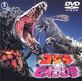 �S�W��vs�r�I�����e [DVD]