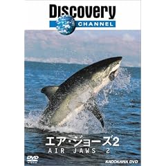�f�B�X�J�o���[�`�����l�� �G�A�E�W���[�Y2 [DVD]