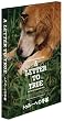 �g�D���[�ւ̎莆 [DVD]