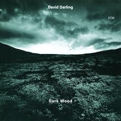 Darkwood