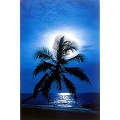 �����̃\�i�^ [WG-3740] [�|�X�^�[]