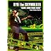 �gCOME HOME TOUR 2005�h Final at Osaka Big Cat [DVD]