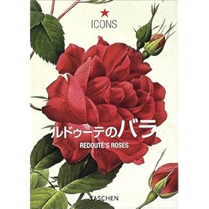 ���h�D�[�e�̃o�� (�^�b�V�F���E�A�C�R���V���[�Y)