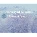 Cherryblossoms �`�F���[�u���b�T���Y