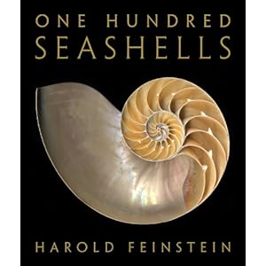 【クリックで詳細表示】One Hundred Seashells： Harold Feinstein， Sydney Eddison： 洋書