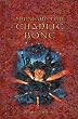 Midnight for Charlie Bone (Red King Quintet)