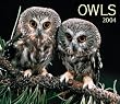 Owls 2004 Calendar