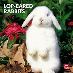 Lop-Eared Rabbits 2012 Calendar