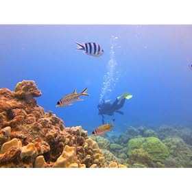 Canon �f�W�^���J���� PowerShot S100