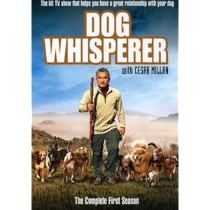 【クリックで詳細表示】Dog Whisperer With Cesar Millan： Comp First Season [DVD] [Import] (2004)