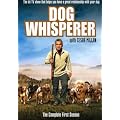Dog Whisperer With Cesar Millan: Comp First Season [DVD] [Import]