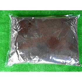 Panda�I�N���K�^�E�J�u�g�p�����}�b�g10���b�^�[CM710