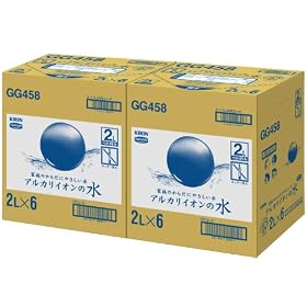 [2CS] �L���� �A���J���C�I���̐�(2L�~6�{)�~2��