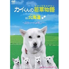 �J�C����̎ᑐ����in�k�C��~�X�E�B�[�g�������[~/�J�C����Ƃ��_�[�X [DVD]