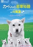 �J�C����̎ᑐ����in�k�C��~�X�E�B�[�g�������[~/�J�C����Ƃ��_�[�X [DVD]