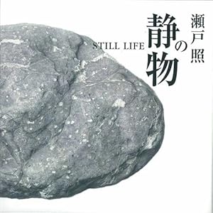 ���ˏƂ̐Õ�