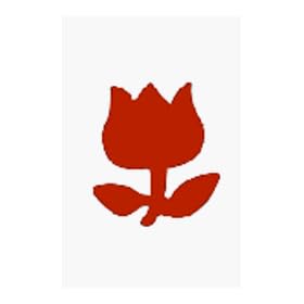 �p���` TULIP-A